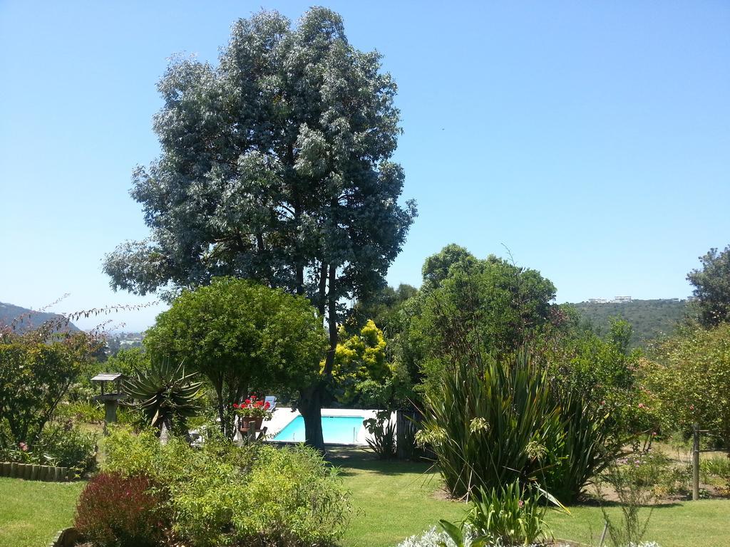 Piesang Valley Lodge Plettenberg Bay Room photo