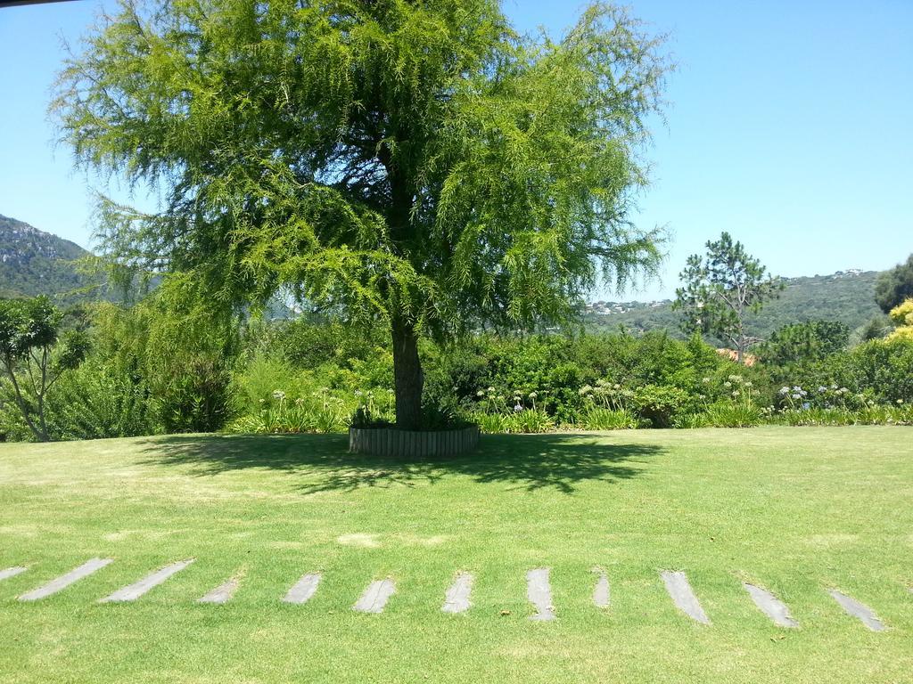 Piesang Valley Lodge Plettenberg Bay Room photo