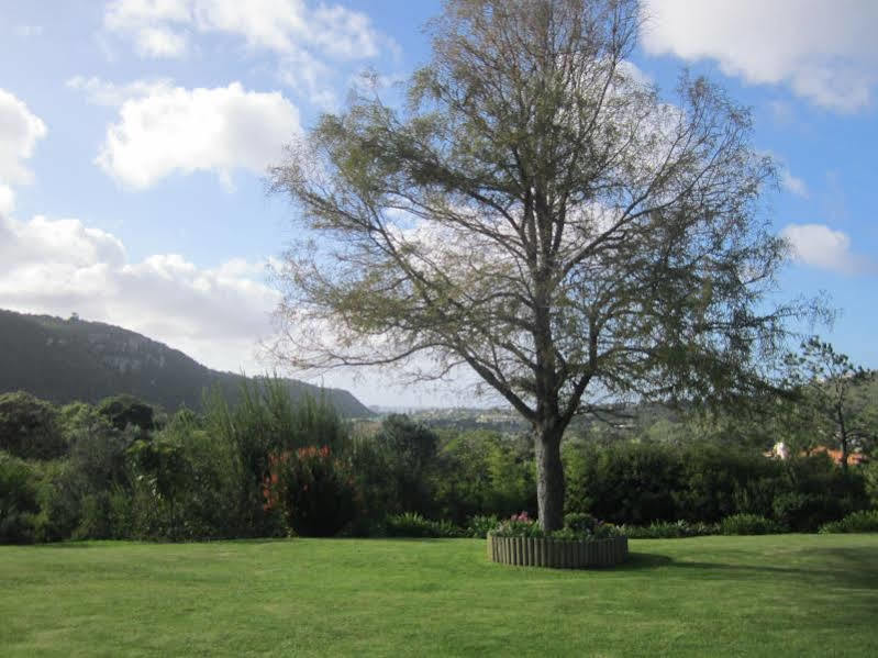 Piesang Valley Lodge Plettenberg Bay Exterior photo